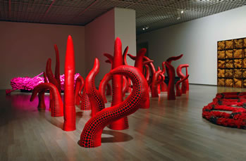 Installation View in Tokyo