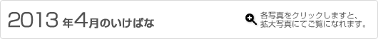 2013�N4���̂����΂�